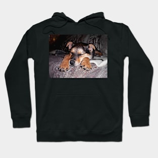 Sweet Sleeping Shepard Puppy Hoodie